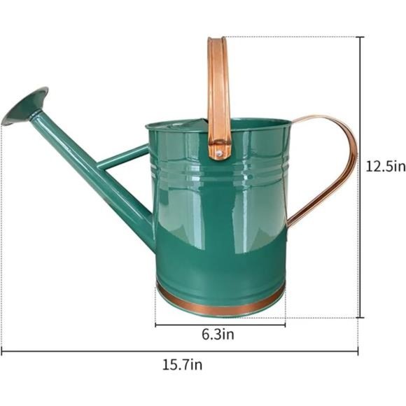Metal Watering Can for Outdoor and Indoor Plants, 1 Gallon - Summer Gardening - Picture 8 of 8